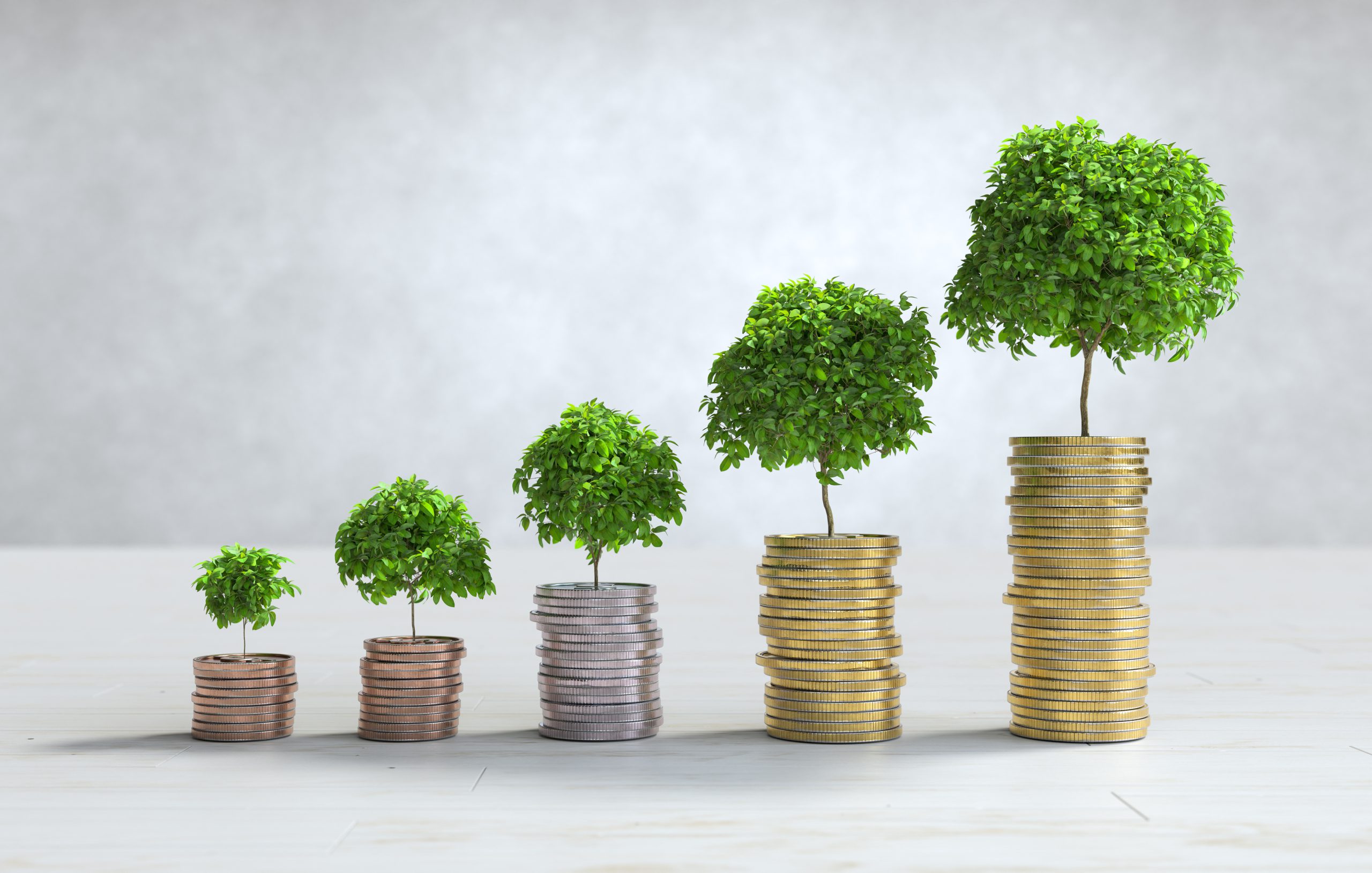 Equity Funds